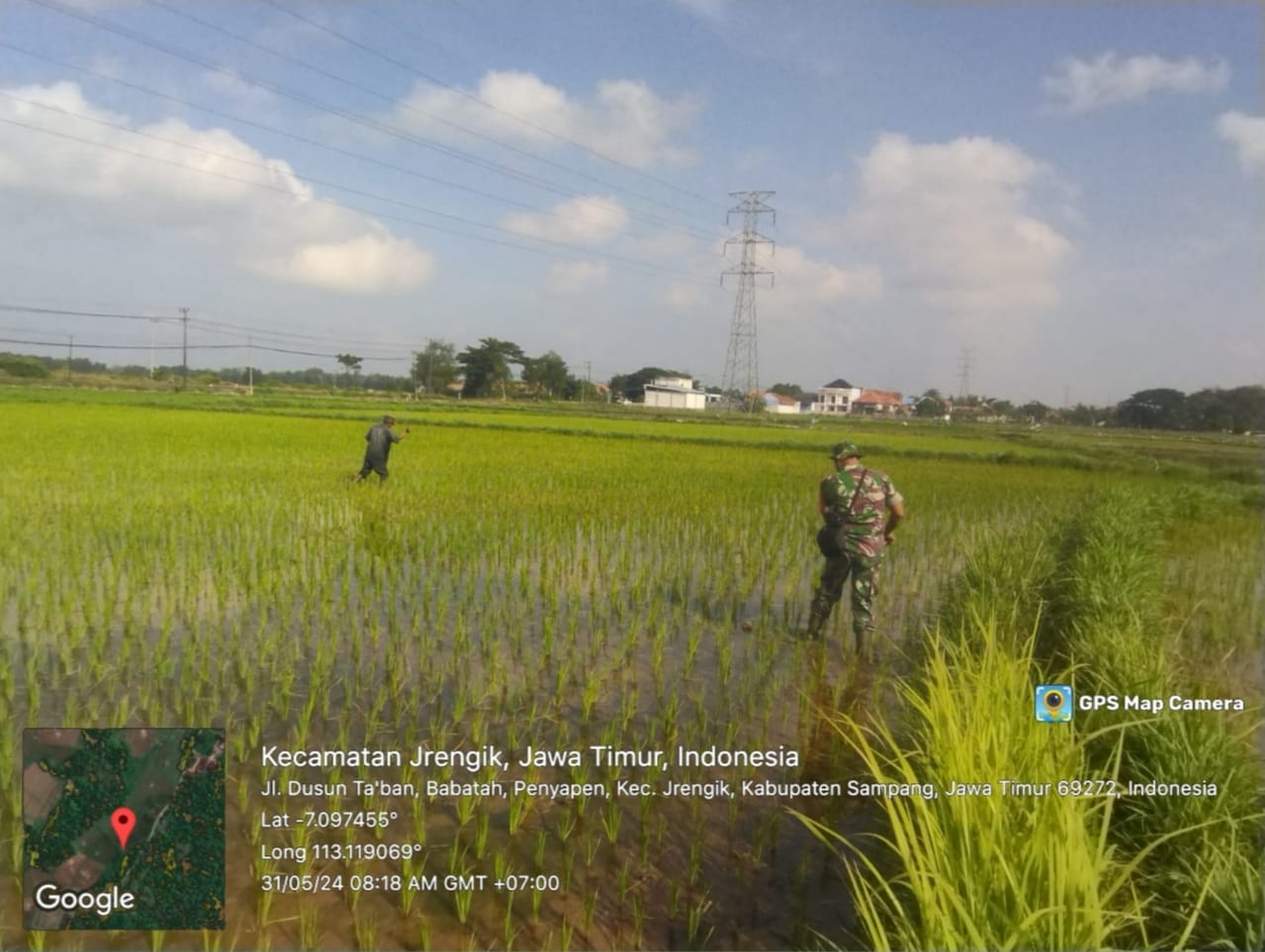 Babinsa Koramil Jrengik Bersama Petani: Sinergi Tingkatkan Produktivitas Padi di Desa Panyepen