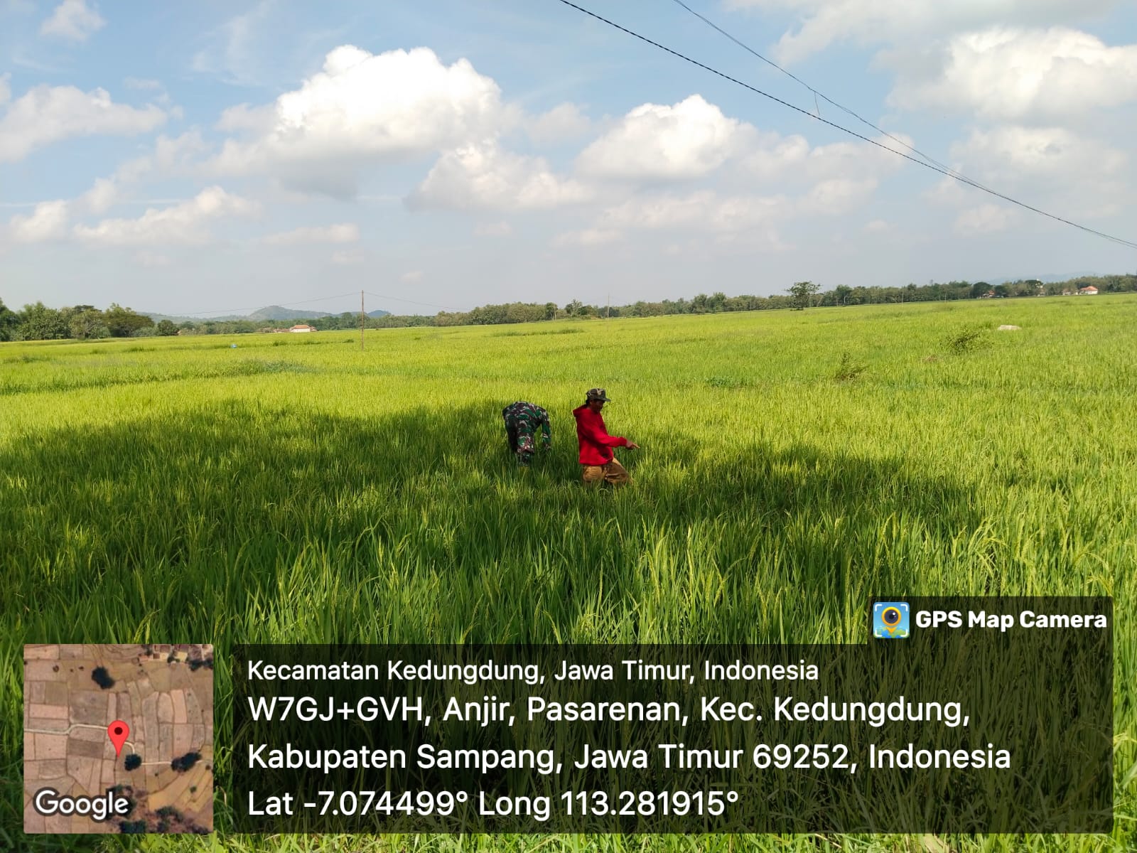 Serda Sudarmaji dan Poktan Desa Moktesareh Kolaborasi Tingkatkan Hasil Panen Padi