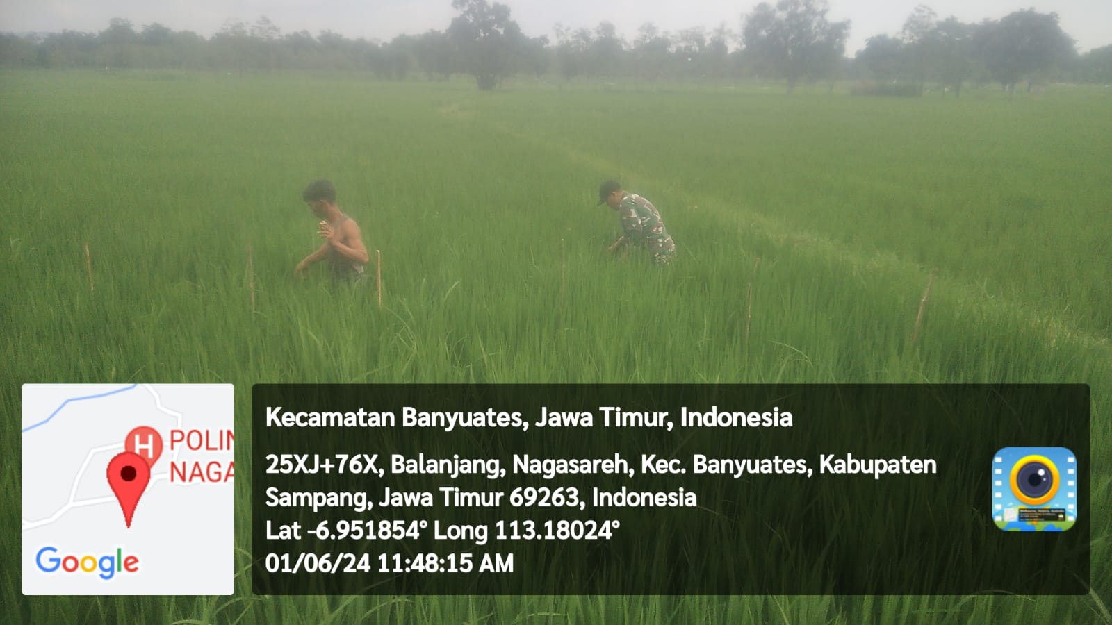 Koramil Banyuates Terjun Langsung Bantu Petani: Menyemai Harapan Bersama di Desa Jatra Timur