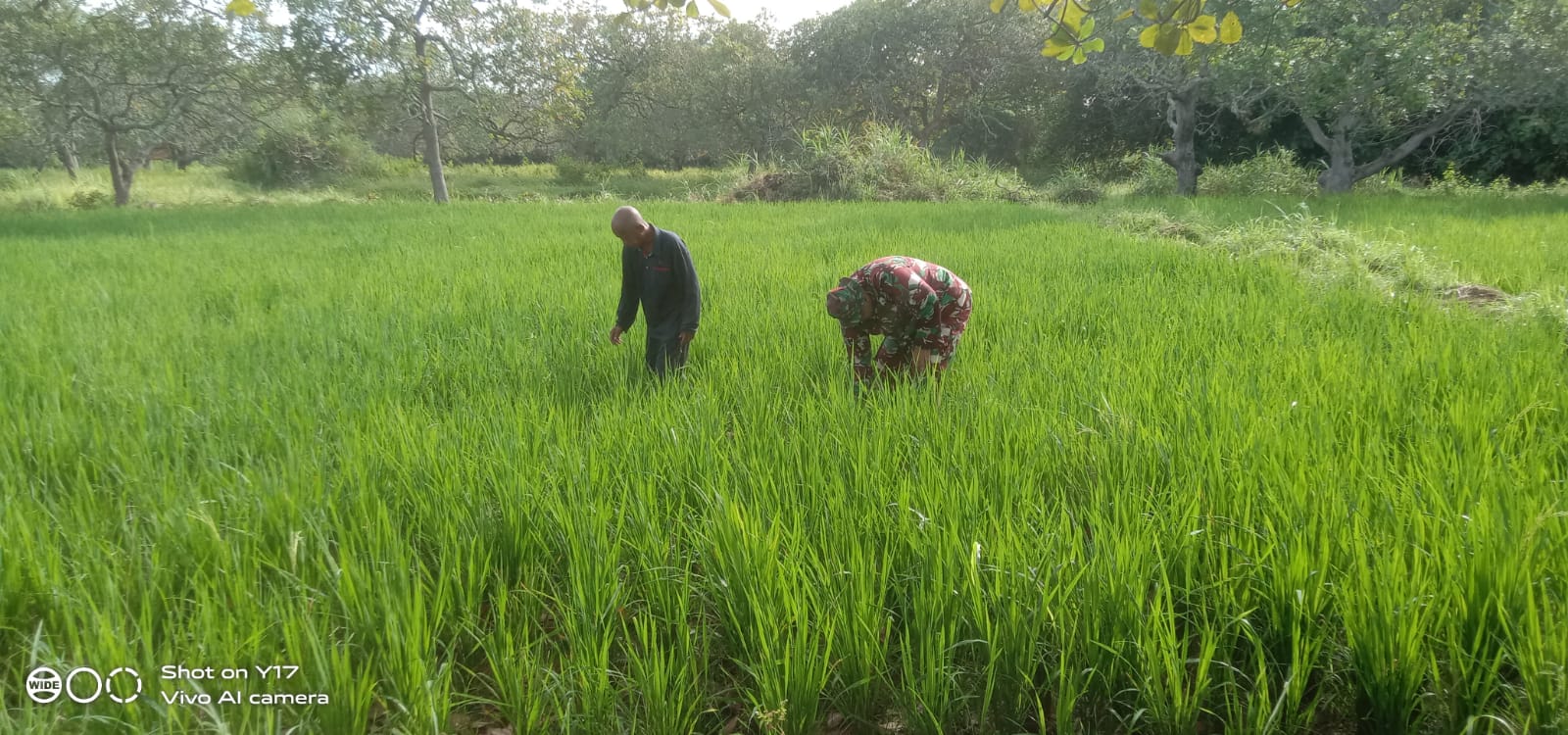 Koptu Yusuf, Turun ke Sawah Bantu Petani Banyusokah Perkuat Ketahanan Pangan