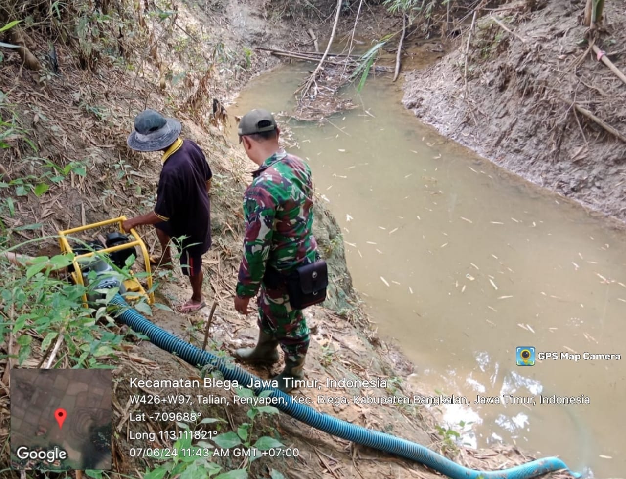 Babinsa Koramil Jrengik Serda Edi Bantu Petani Pembersihan Rumput padi