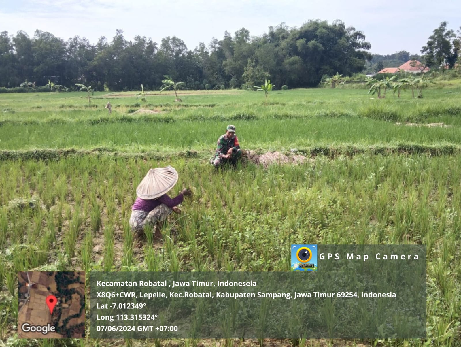 TNI dan Petani: Babinsa Koramil Robatal Serda Heri Siapkan Masa Tanam Padi di Desa Lepelle