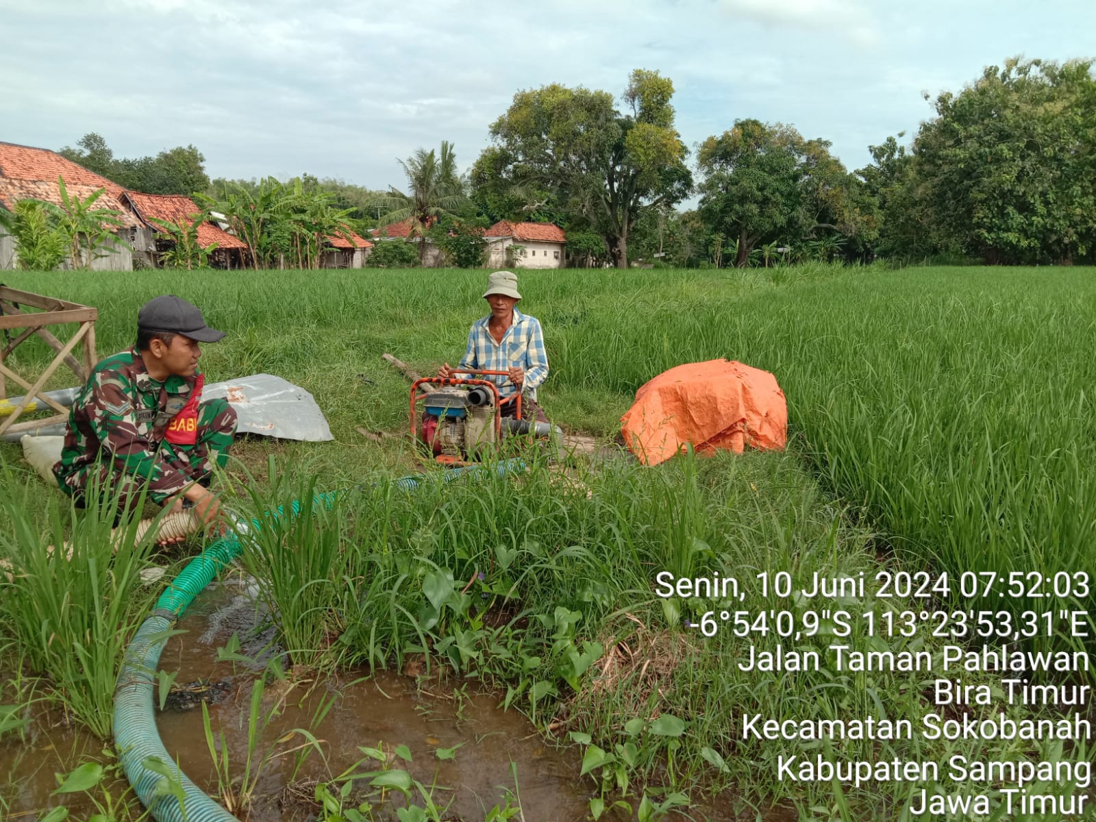 Inovatif: Babinsa Koramil Sokobanah dan Petani Desa Bire Timur Tingkatkan Ketahanan Pangan