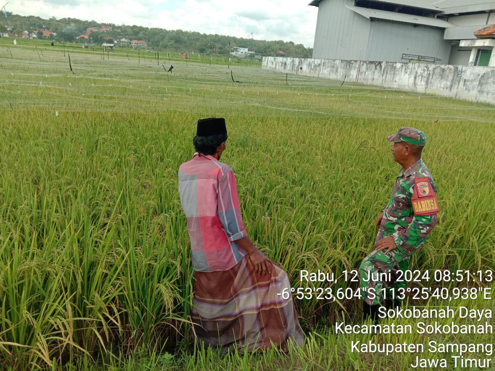 Tanggap dan Terlibat: Serma Kholidin Membantu Poktan Maksimalkan Panen Padi