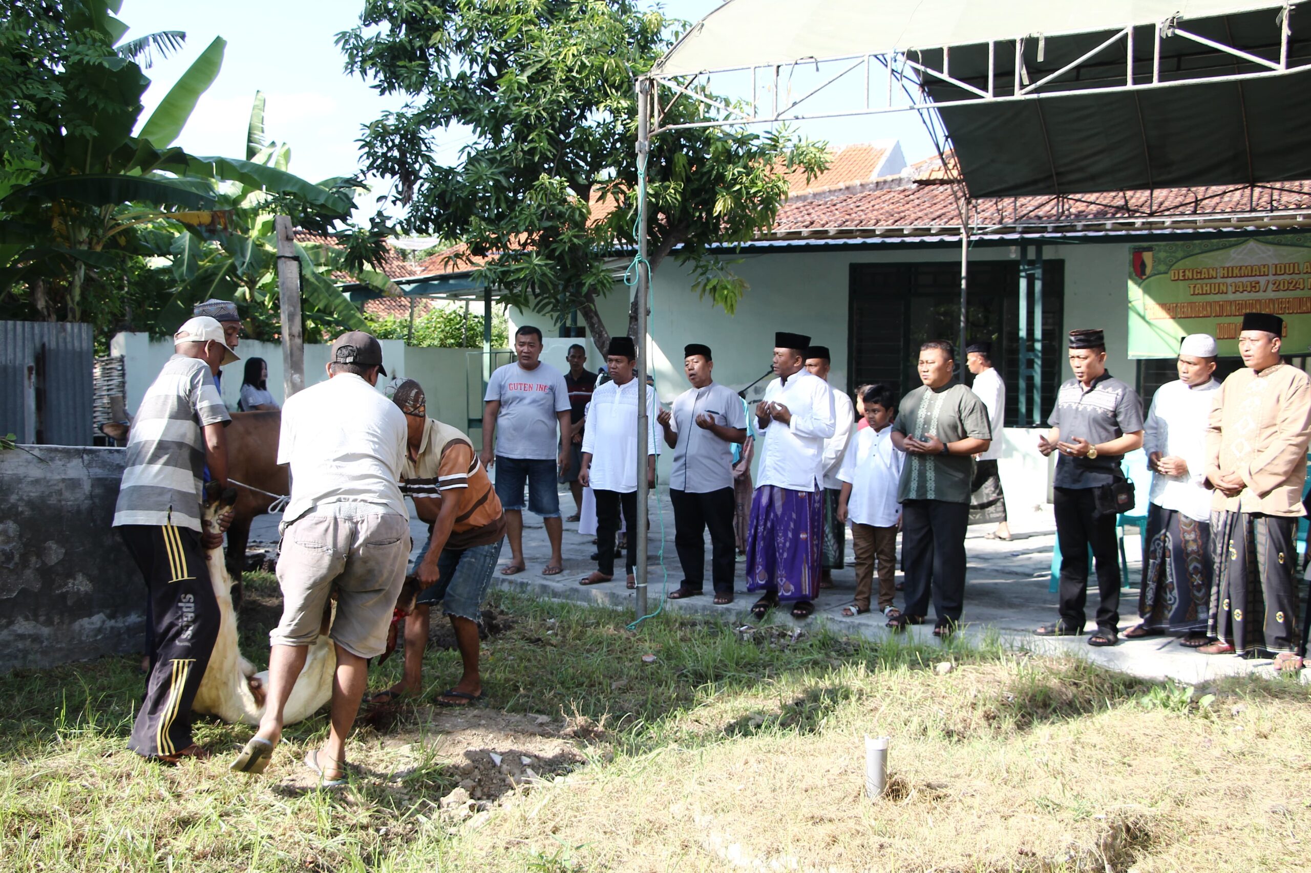 Kodim Sampang Gelar Qurban: Pererat Silaturahmi dan Kepedulian di Hari Raya Idul Adha