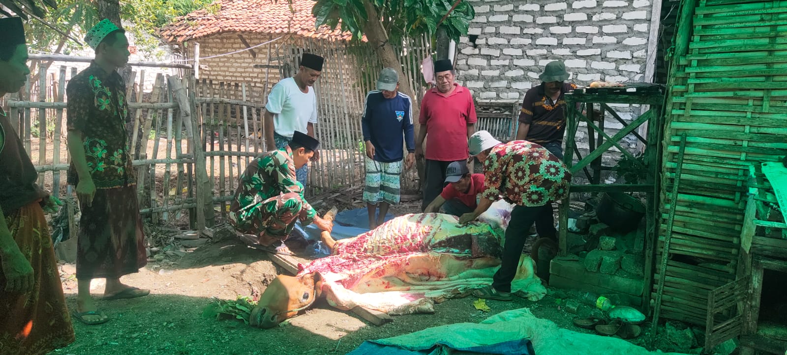 Solidaritas Babinsa Sertu Lery Bantu Penyembelihan Hewan Kurban di Idul Adha di Desa Ragung