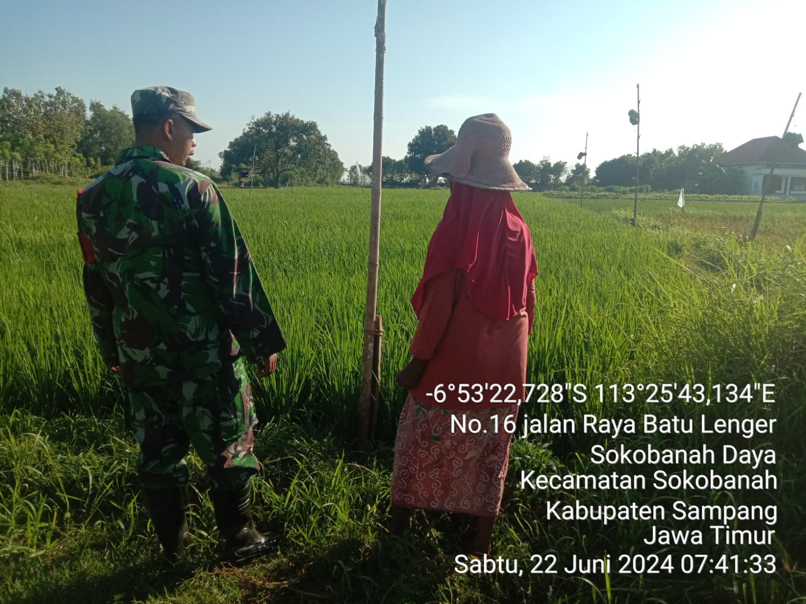 Babinsa Koramil Sokobanah Bersama Poktan: Sinergi Meningkatkan Produksi Padi di Kecamatan Sokobanah