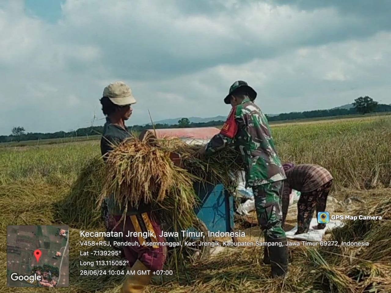 Panen Padi Lebih Mudah dengan Bantuan Babinsa Koramil Jrengik di Desa Asemnonggal