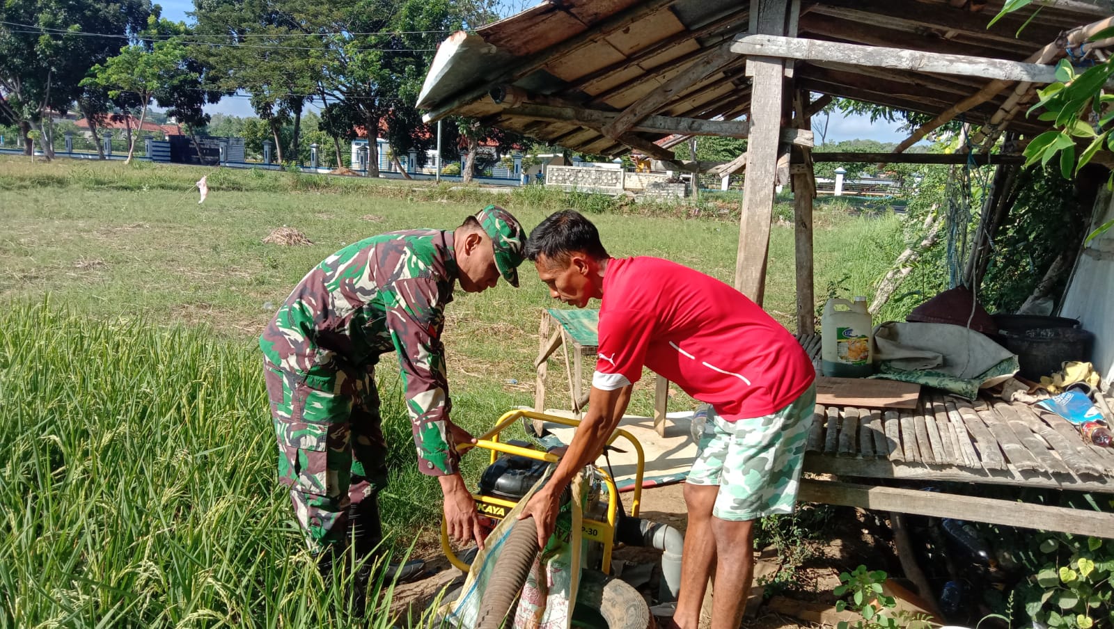 Babinsa Sokobanan dan Petani: Tingkatkan Produktivitas Padi di Desa Bire Timur