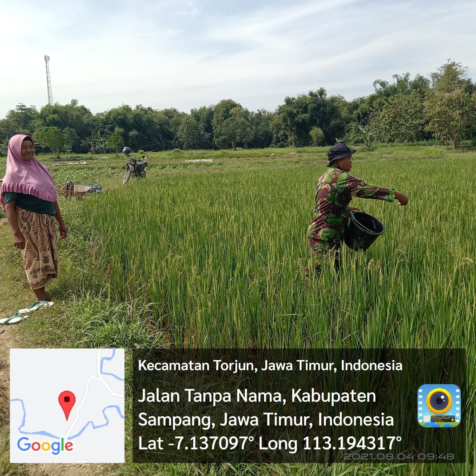 Babinsa Serka Triman, Terjun Langsung Bantu Petani Desa Krampon Tingkatkan Produksi Padi