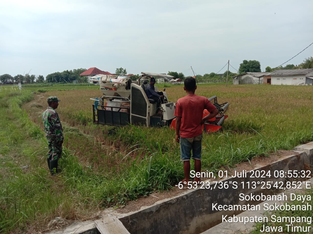 Serma Kholidin dan Poktan: Tingkatkan Produktivitas Padi di Sokobanah Daya