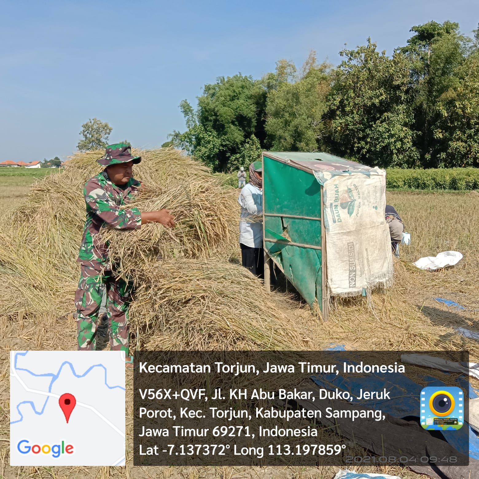 TNI dan Petani: Babinsa Panen Padi Bersama Poktan Binaan di Desa Jeruk Purut