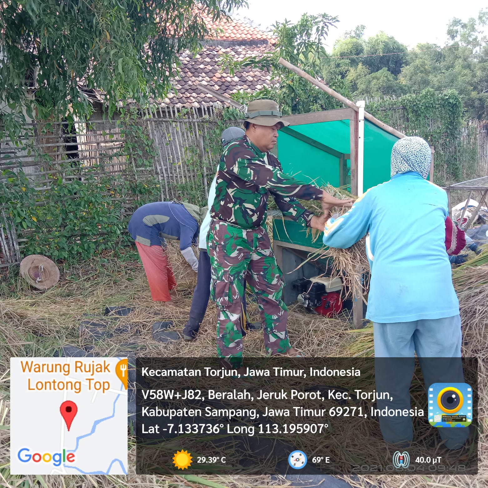 Manunggal Babinsa Panen Padi Bersama Poktan Binaan di Desa Jeruk Purut