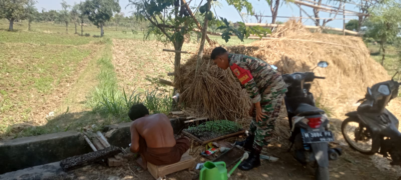 Kolaborasi Babinsa dan Petani: Semangat Baru dalam Pembibitan Melon di Banyuates