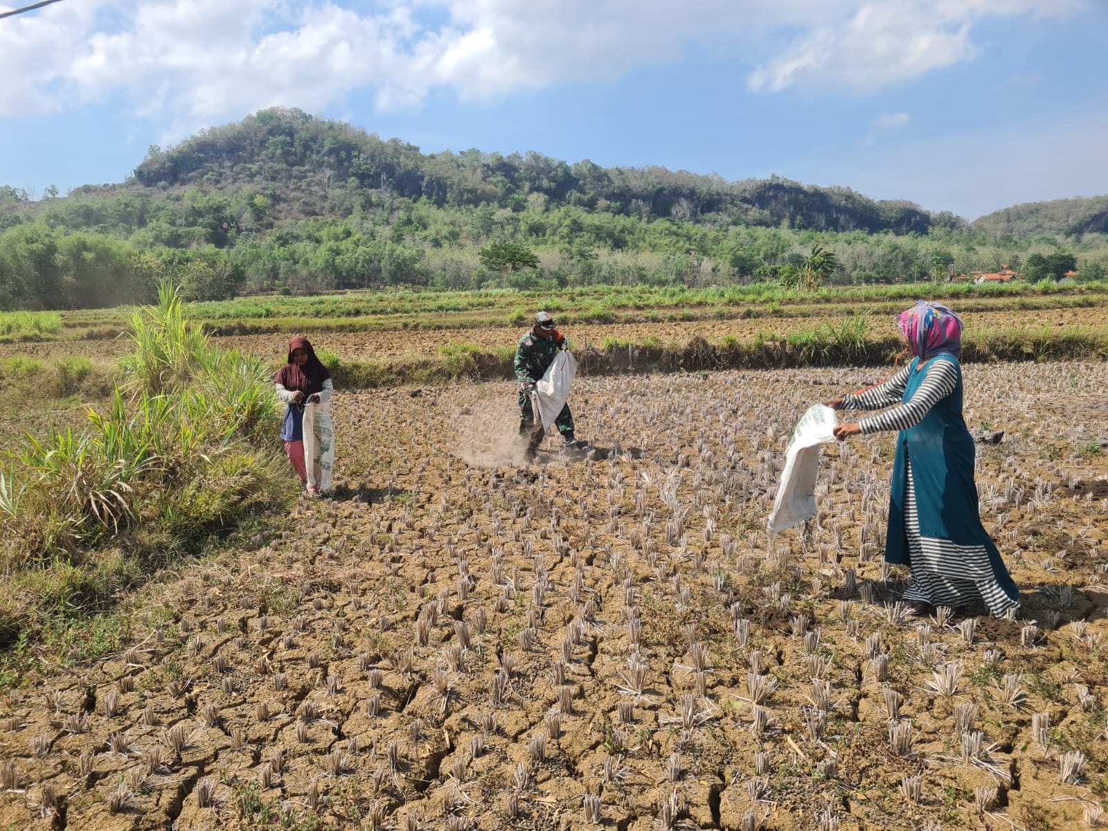 Serda Khamid, Babinsa Kedungdung, Bantu Petani Wujudkan Pertanian Berkelanjutan