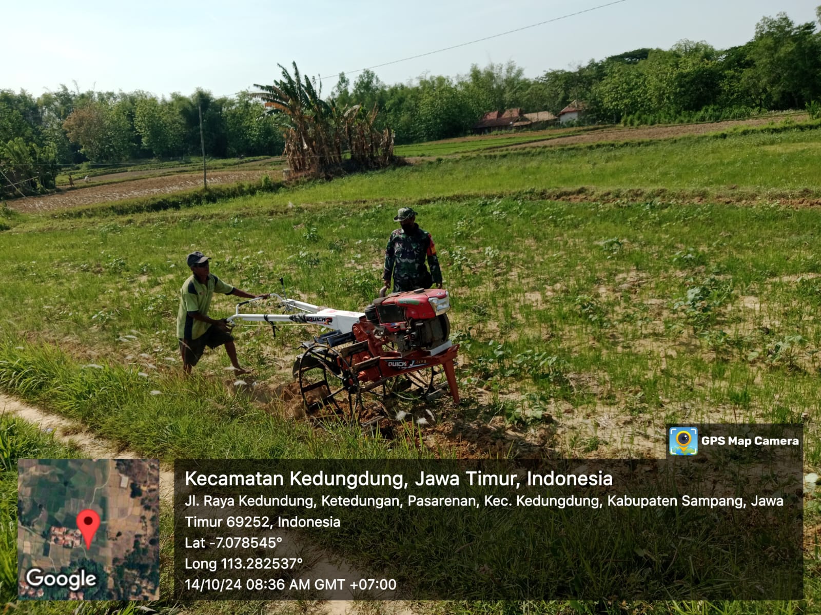 Menggandeng Petani, Babinsa Koramil Kedungdung Perkuat Ketahanan Pangan di Desa Binaan