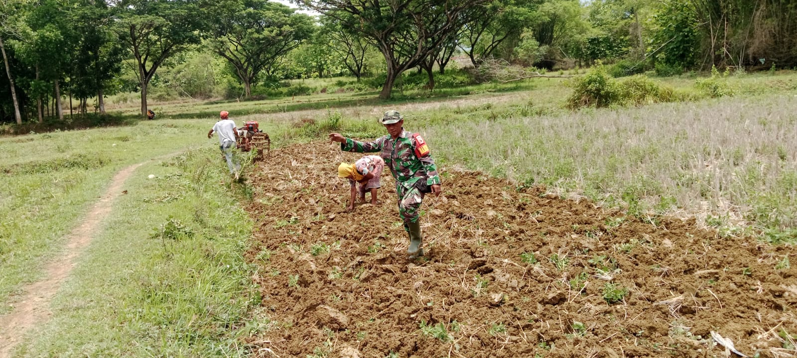 Babinsa Bersama Petani: Wujudkan Ketahanan Pangan di Desa Pasarenan Lewat Pengolahan Tanah