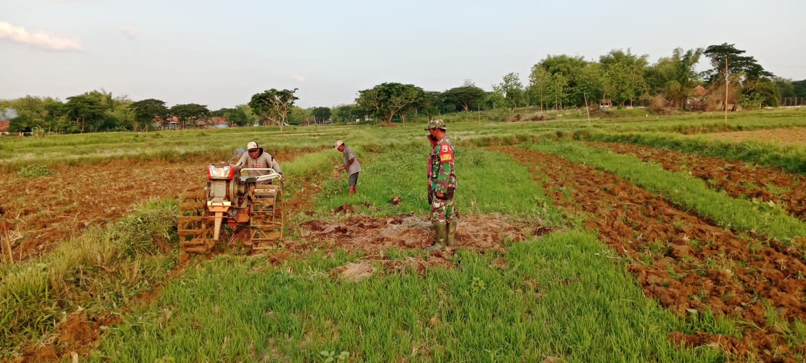 Babinsa Bantu Petani Desa Rabasan Optimalkan Lahan Sawah untuk Peningkatan Hasil Panen