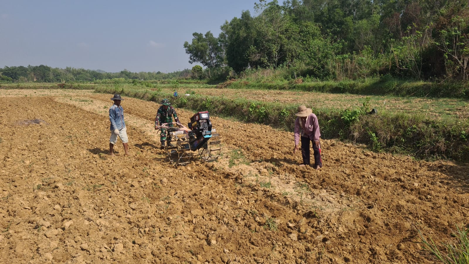 Babinsa Koramil Kedungdung Dampingi Petani Desa Moktesareh dalam Pengolahan Lahan