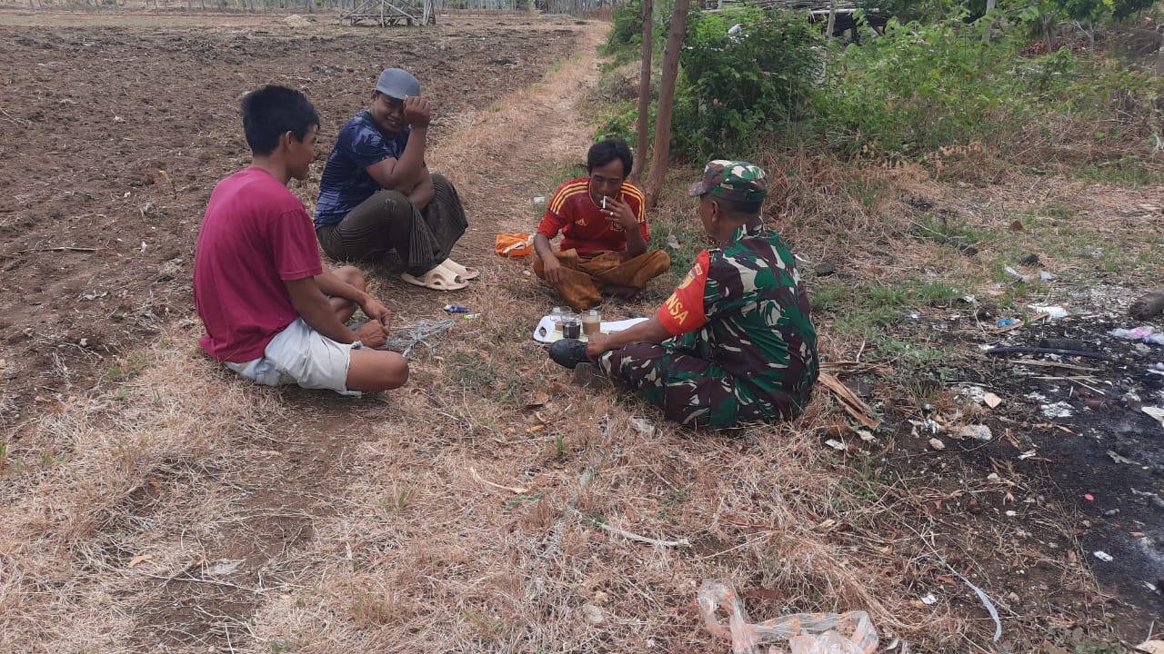 Babinsa Turun ke Sawah: Serka Halik Ajak Petani Wujudkan Ketahanan Pangan