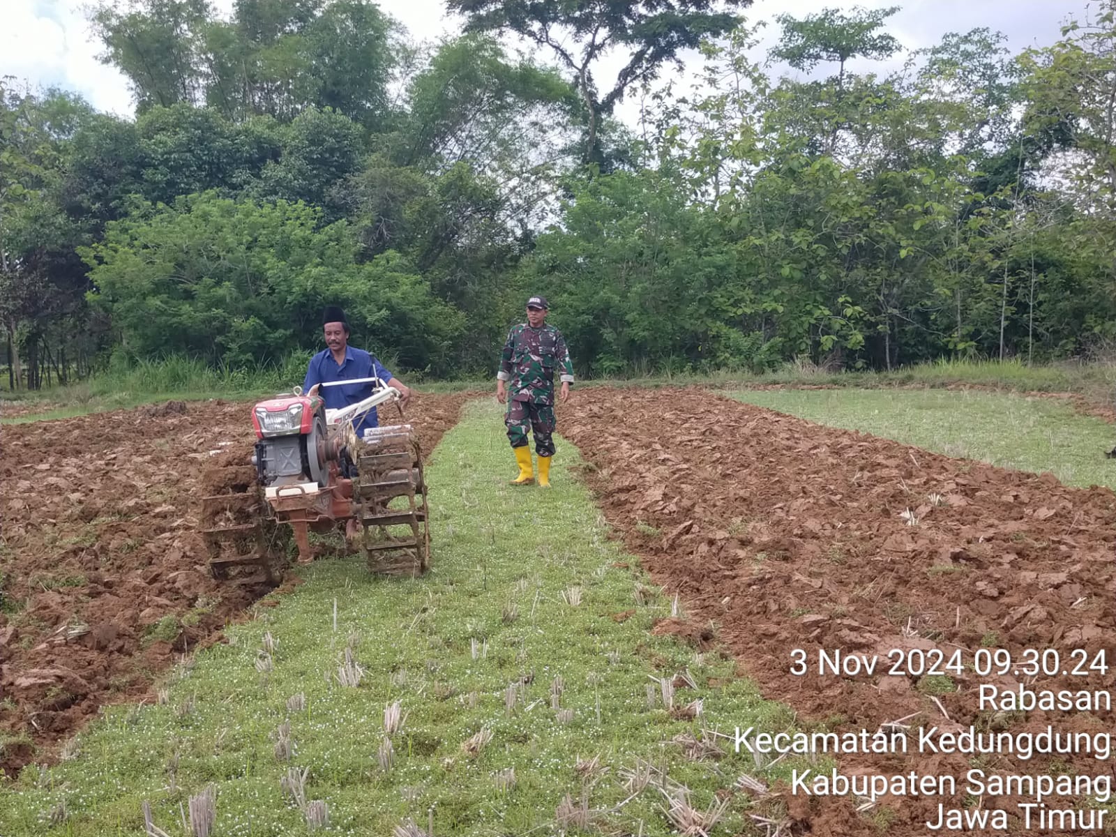 Meningkatkan Ketahanan Pangan: Babinsa Sertu Gunarso Bantu Petani di Desa Rabasan