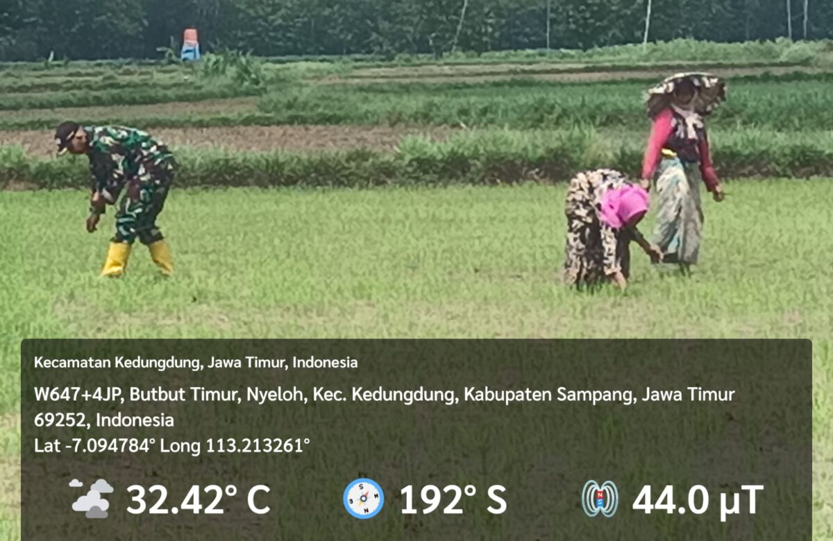 Tumbuhkan Harapan di Sawah, Babinsa Kedungdung Bersama Petani Tanam Padi untuk Ketahanan Pangan