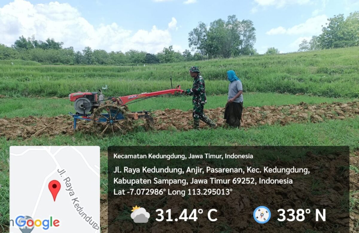 TNI dan Petani: Babinsa Koramil Kedungdung Bantu Olah Lahan Demi Peningkatan Hasil Panen