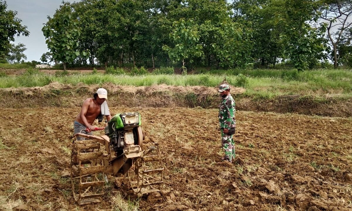 Babinsa Koramil Kedungdung dan Poktan ‘Panca Usaha’ Olah Lahan Swasembada Pangan