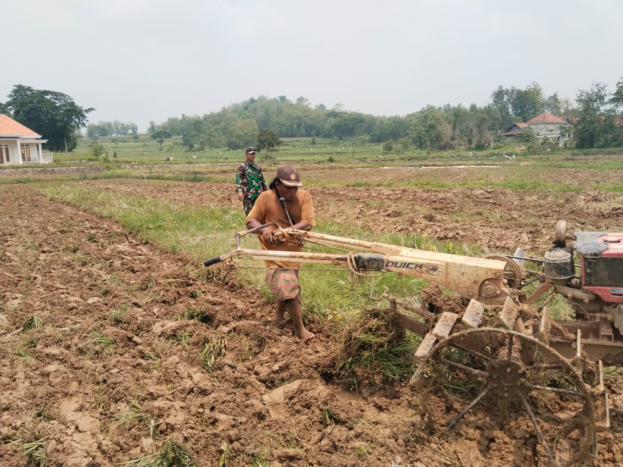 Babinsa Koramil Tambelangan Bersama Petani: Menggugah Semangat Bertani di Desa Mambulu Barat