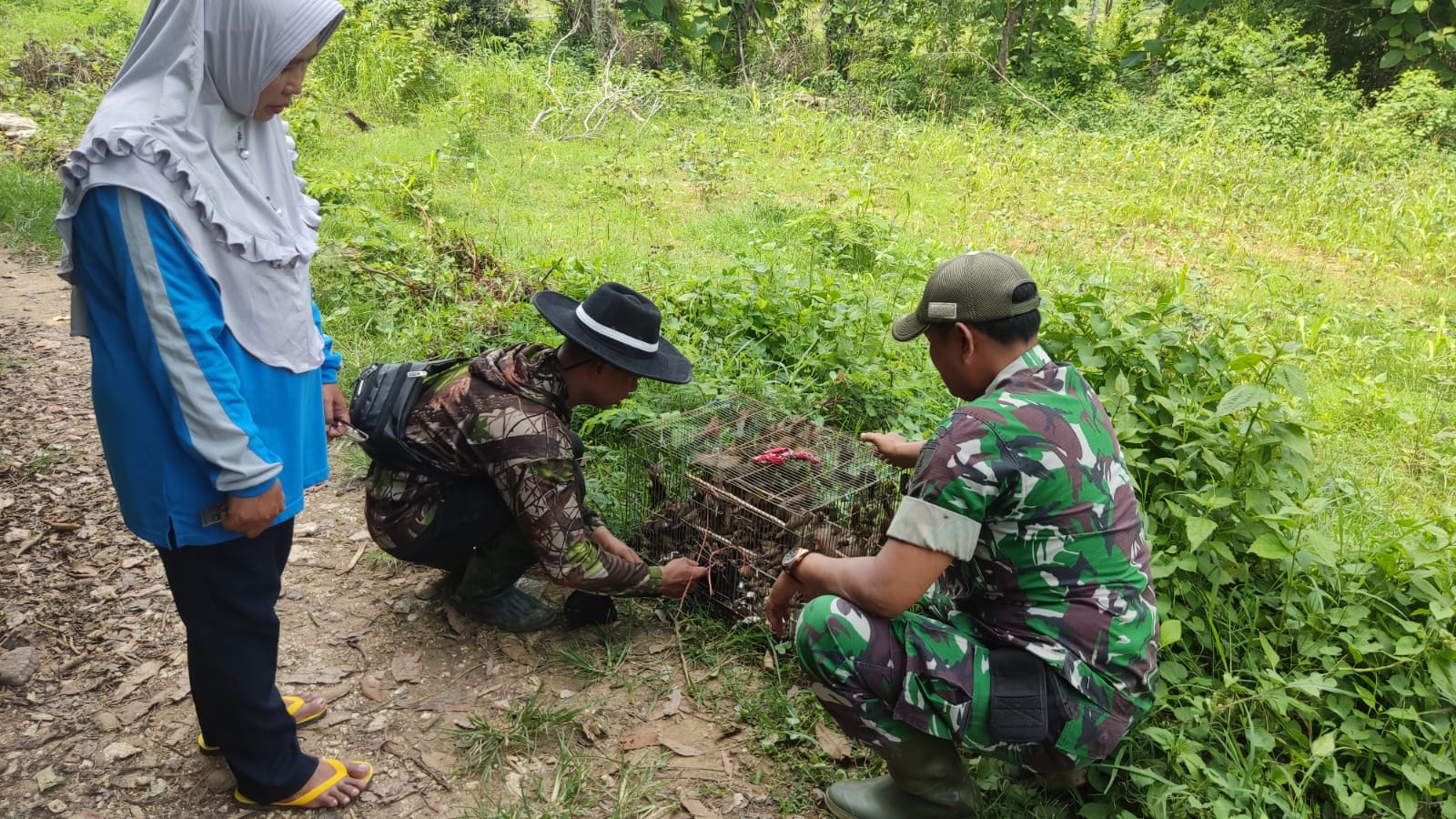 Babinsa Jrengik Bersama Petani Panyepen Tangkal Hama Burung, Lindungi Hasil Panen