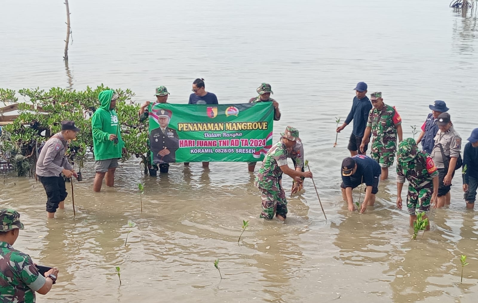 Menjaga Pesisir: Babinsa dan Forkopimcam Sreseh Laksanakan Penanaman Mangrove di Desa Noreh