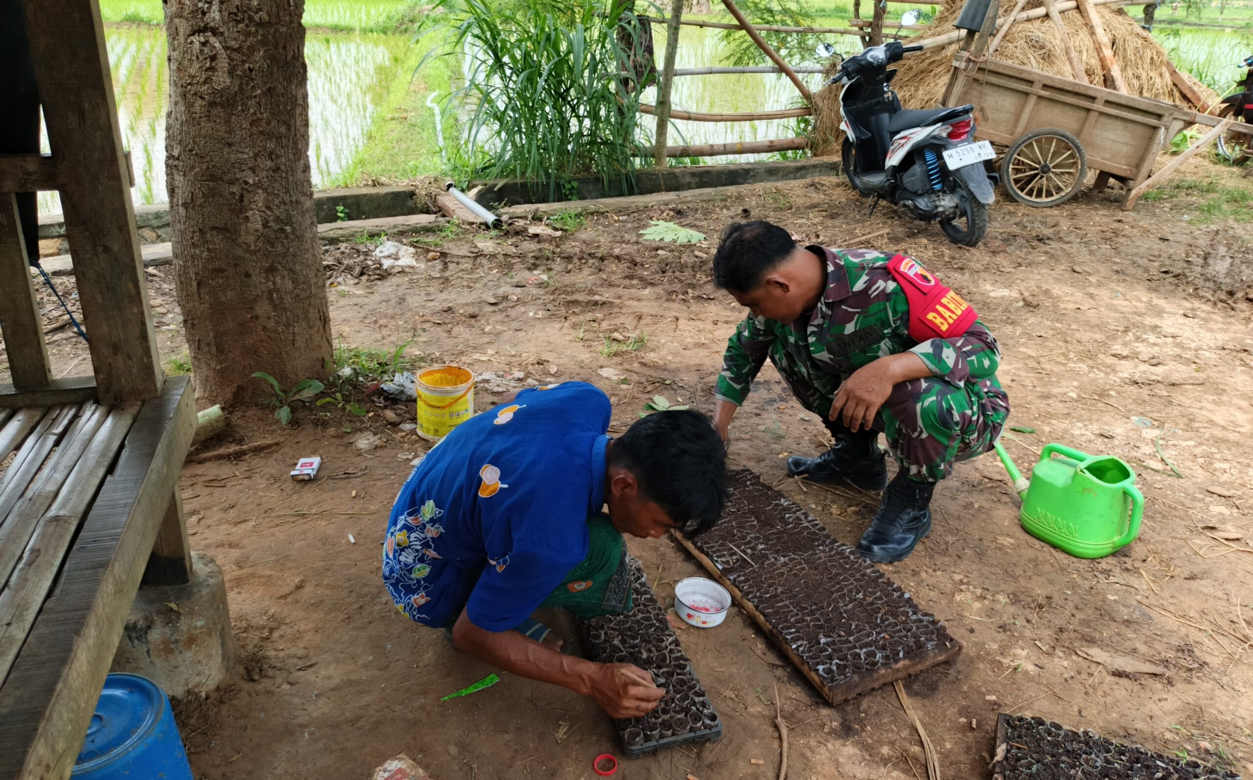 Babinsa Koramil Banyuates Ajak Poktan Galis Sukseskan Pembibitan Melon untuk Tingkatkan Ketahanan Pangan