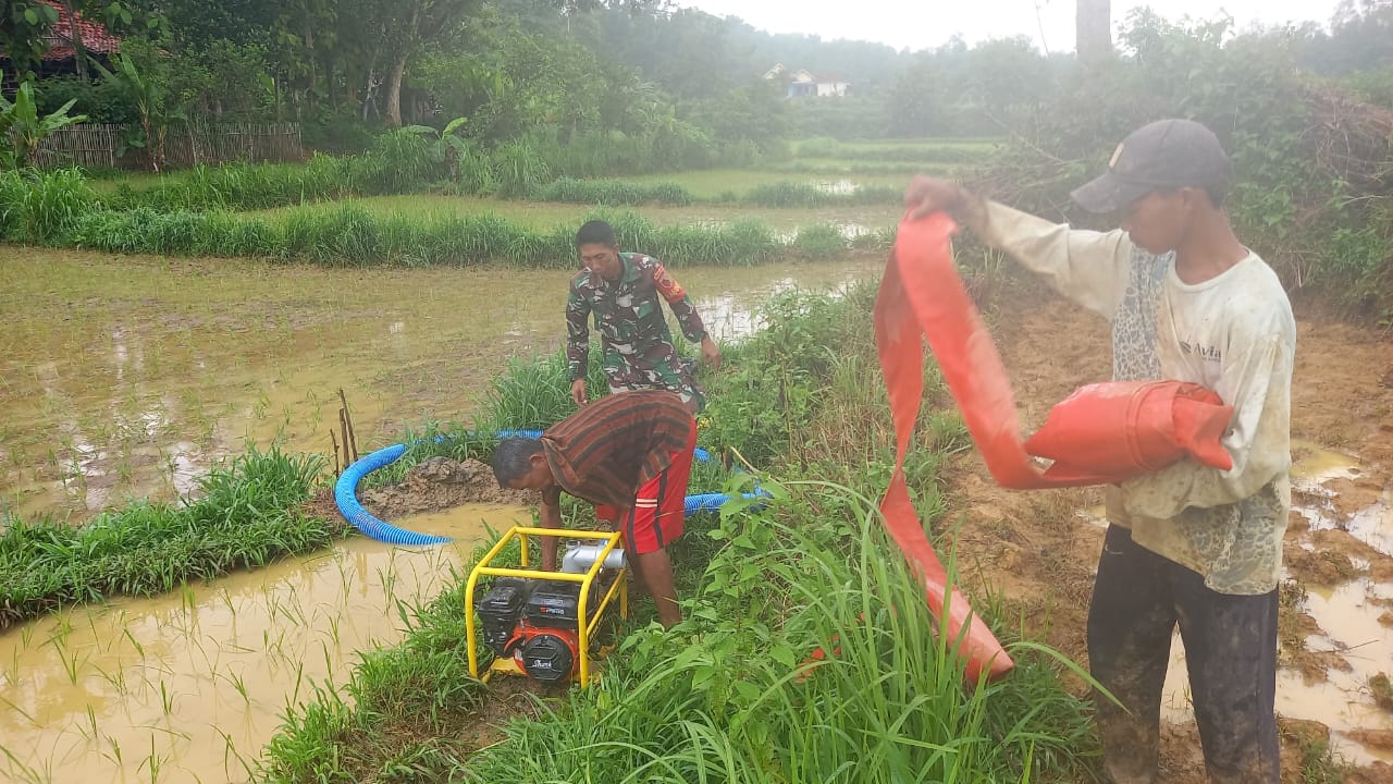 Tangan TNI untuk Tanaman: Babinsa Koramil Robatal Bantu Petani Irigasi Sawah