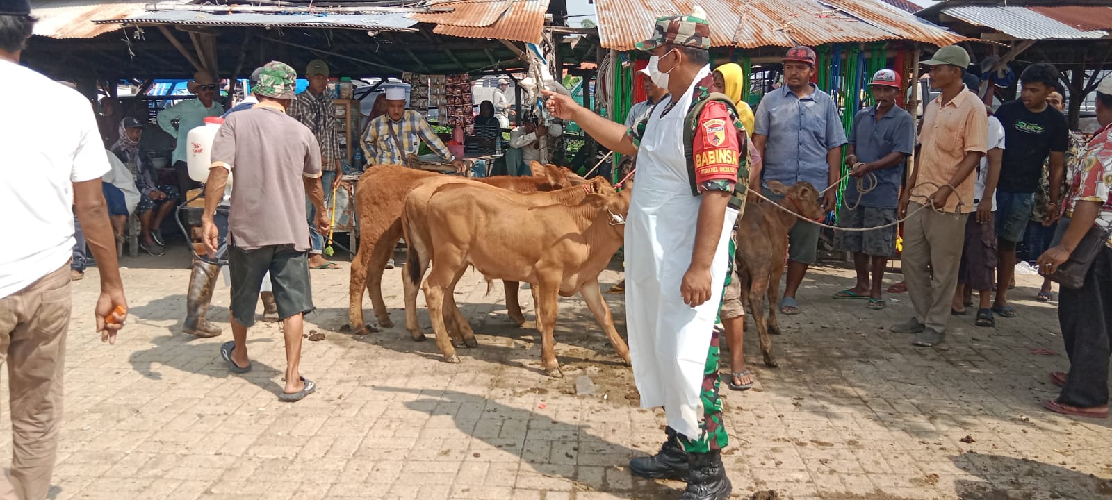 Sinergitas TNI, Polri, dan Dinas Peternakan Laksanakan Penyemprotan Vaksin di Pasar Sapi Desa Aengsareh