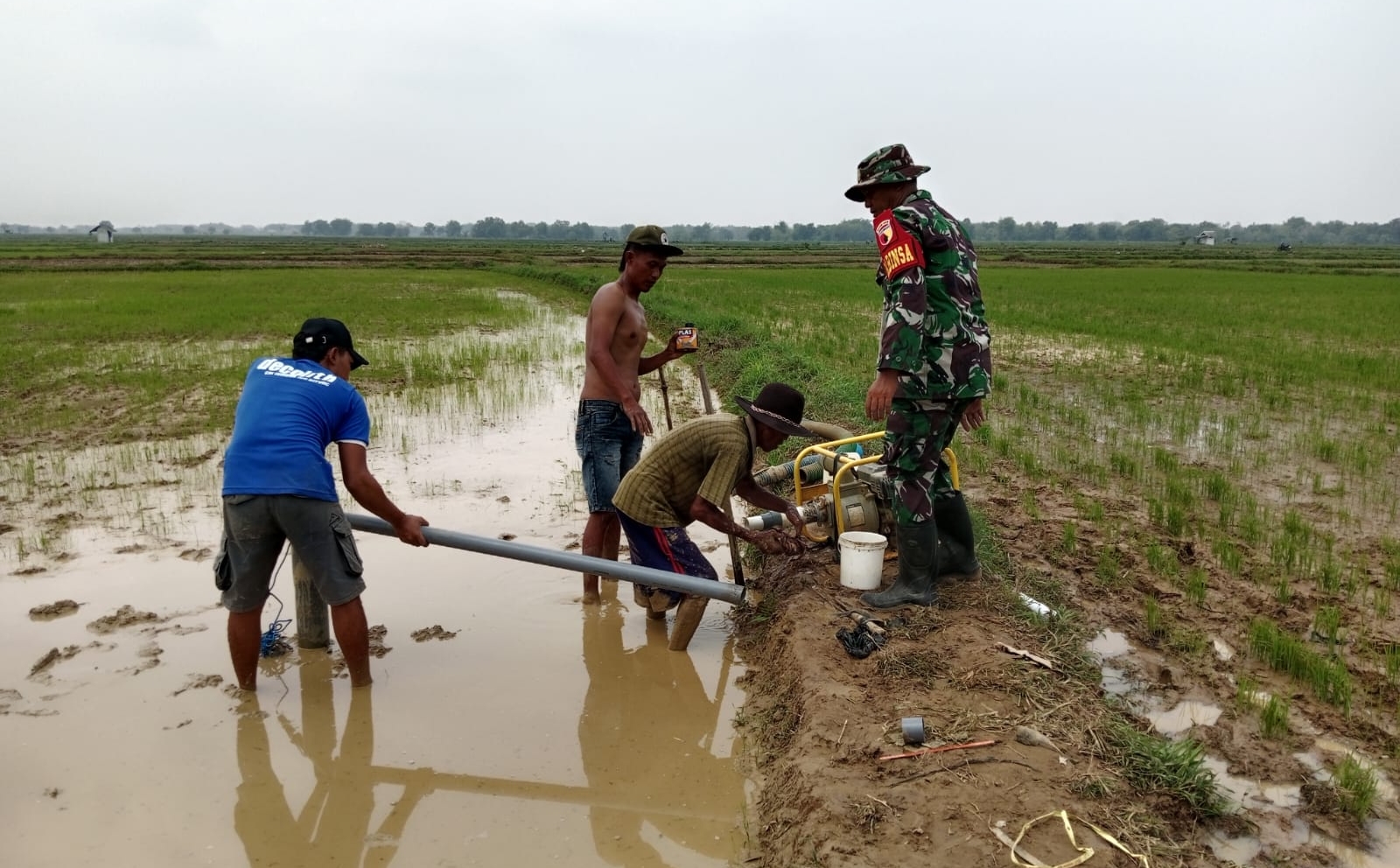 Serka Budiarjo Bantu Pemasangan Aliran Air untuk Meningkatkan Produktivitas Pertanian di Desa Taman