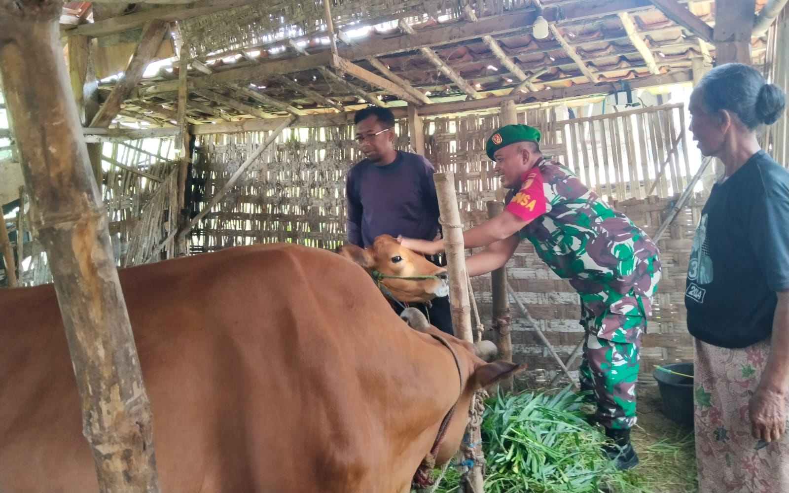 Babinsa Koramil Torjun Bersama Mantri Hewan Lakukan Pendampingan Pencegahan PMK di Desa Pangongsean