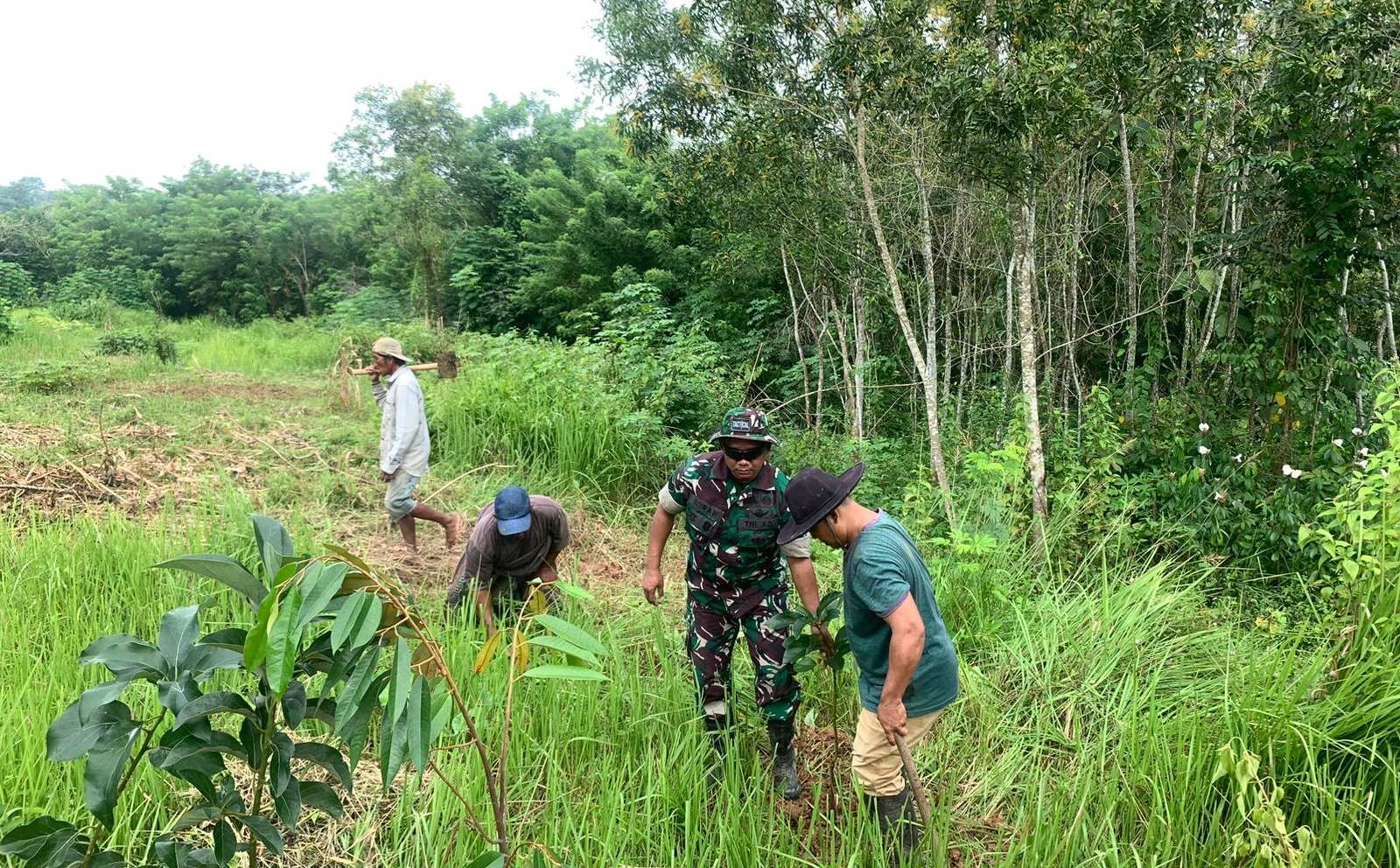 Babinsa Serka Miran Bersama Warga Tanam Pohon Alpukat dan Klengkeng untuk Lingkungan Hijau dan Sejahtera