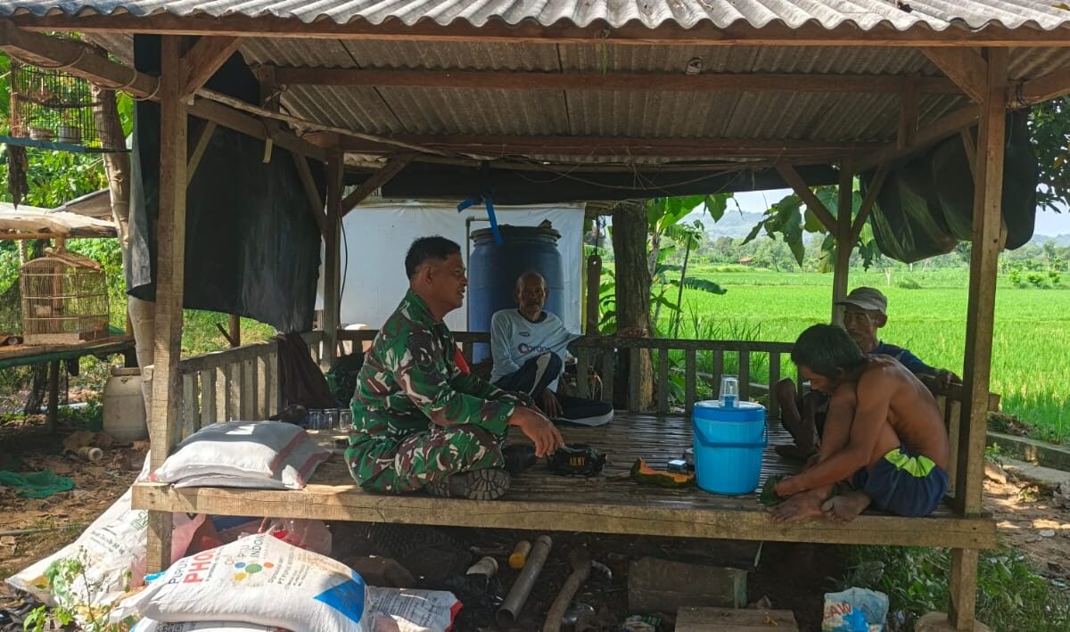Babinsa Koramil Banyuates Sertu Wagiman Aktif Komsos Bersama Poktan Galis di Desa Jatra Timur