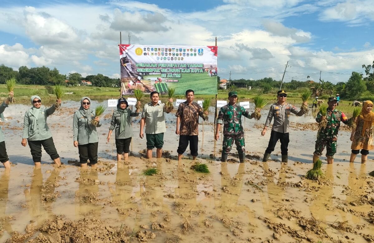 Harmoni Hijau di Bumi Sampang: TNI dan Petani dalam Gerakan Tanam Padi Serempak