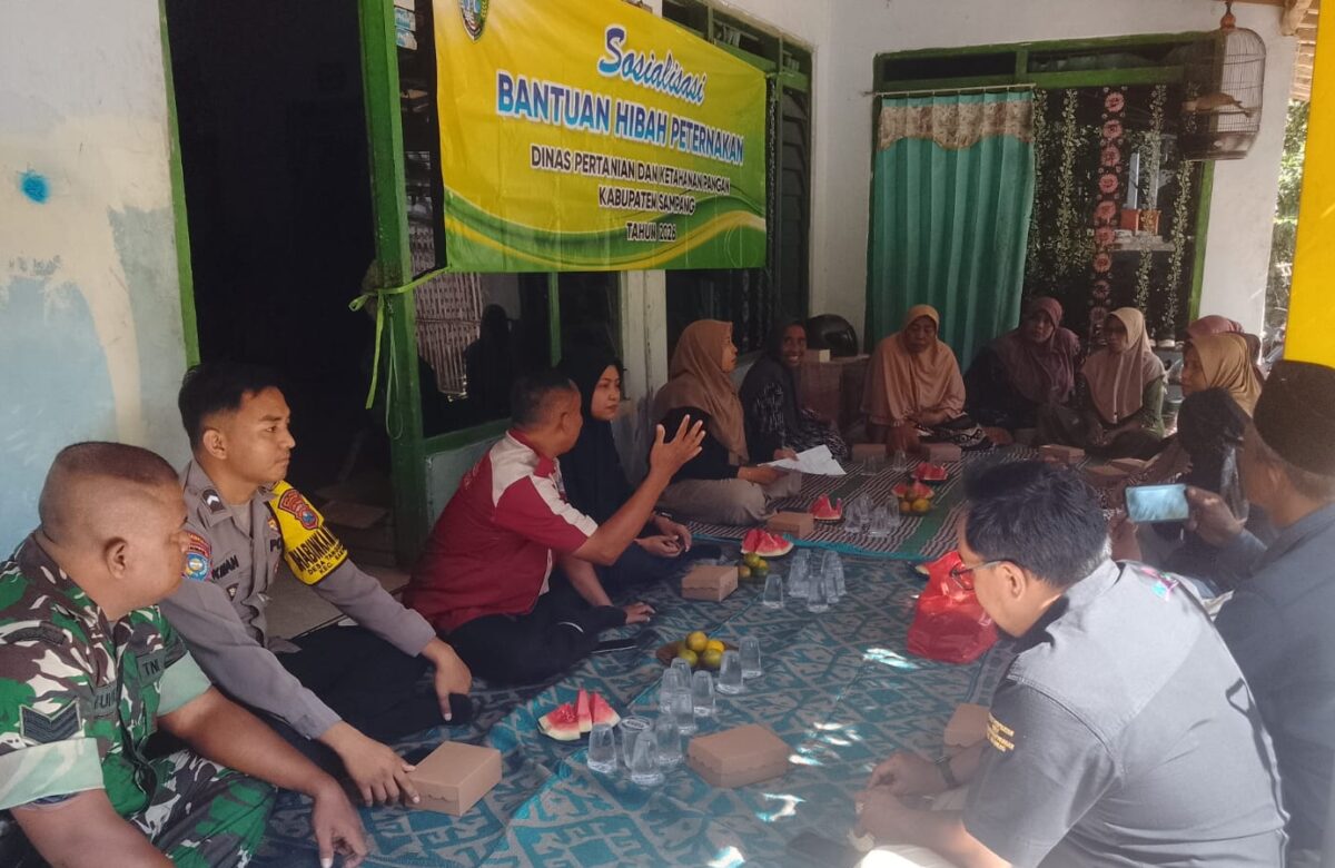 Merawat Harapan dari Desa: Babinsa Sampang Hadiri Sosialisasi Peternakan di Tanggumong