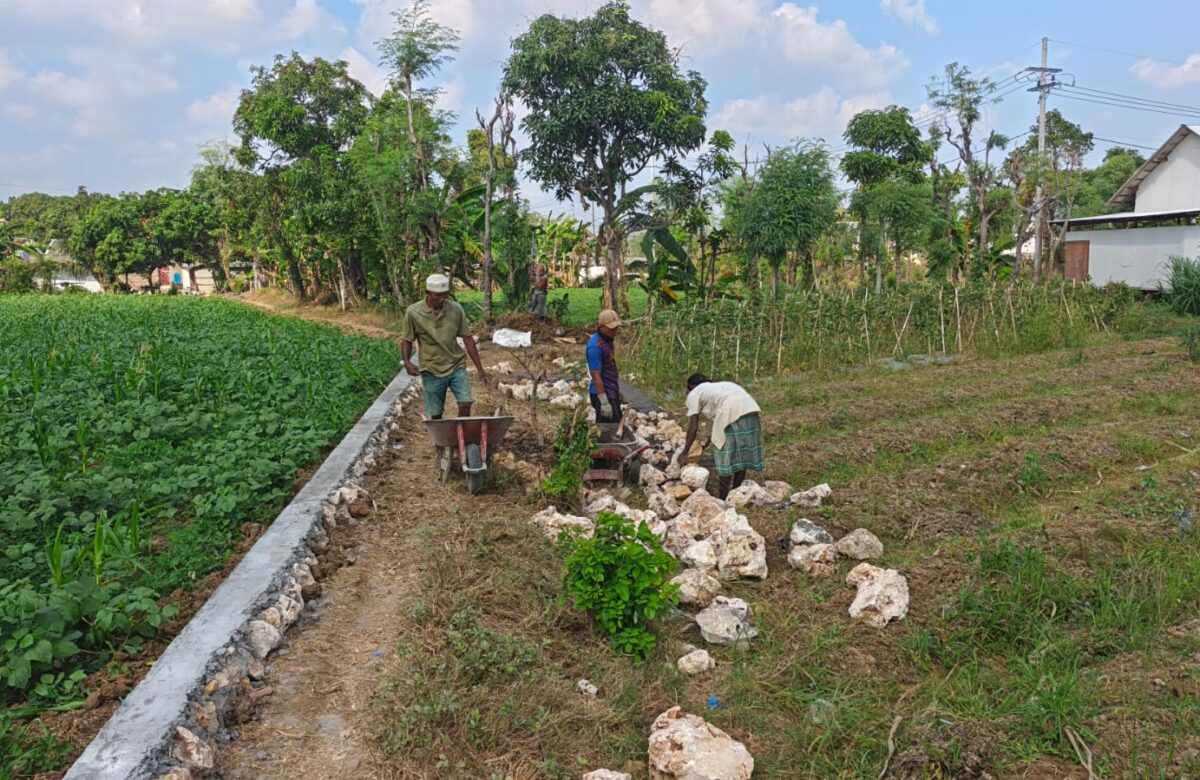 Langkah Babinsa Gotong Royong di Pembangunan Jalan Desa Menuju Sawah Jatra